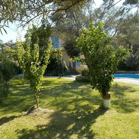 Hotel Iris 3*